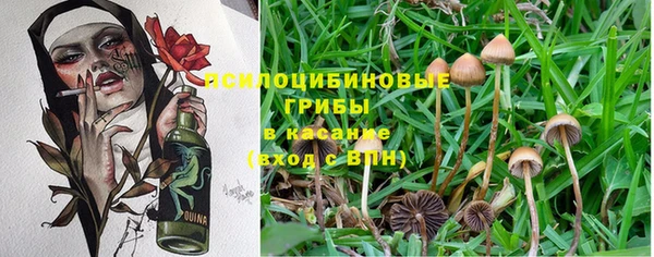 кокс Белоозёрский