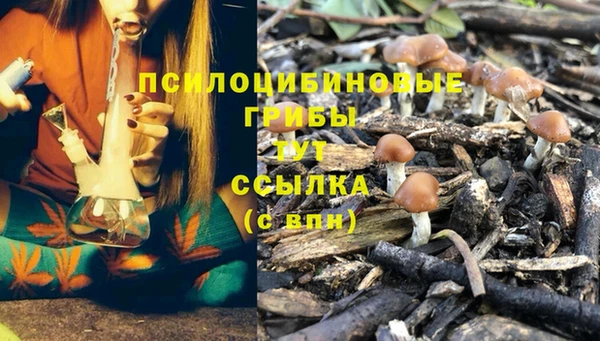 кокс Беломорск